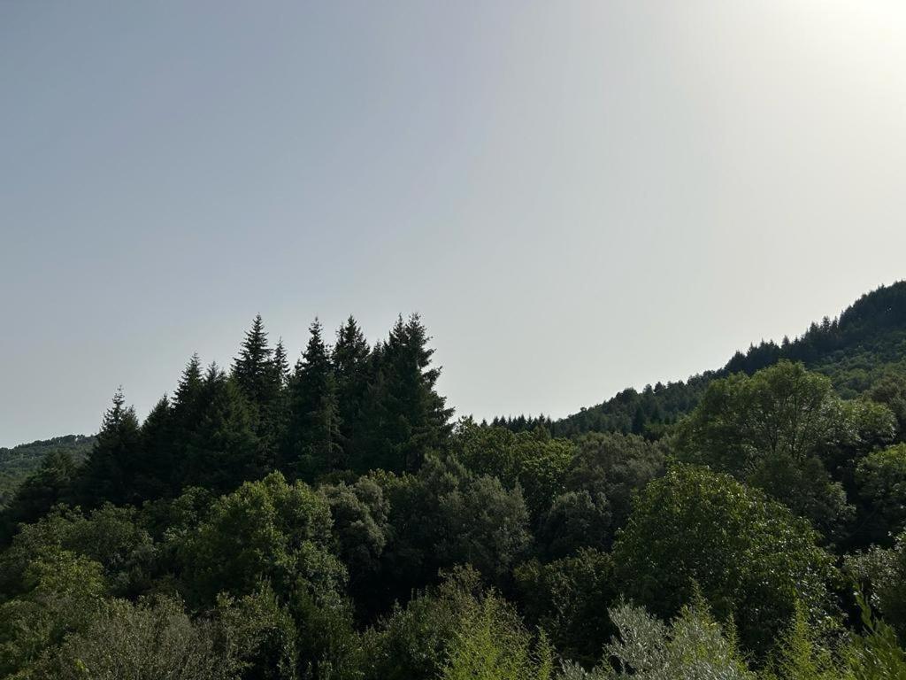 Mas Le Canton Saint-Jean-du-Gard Esterno foto